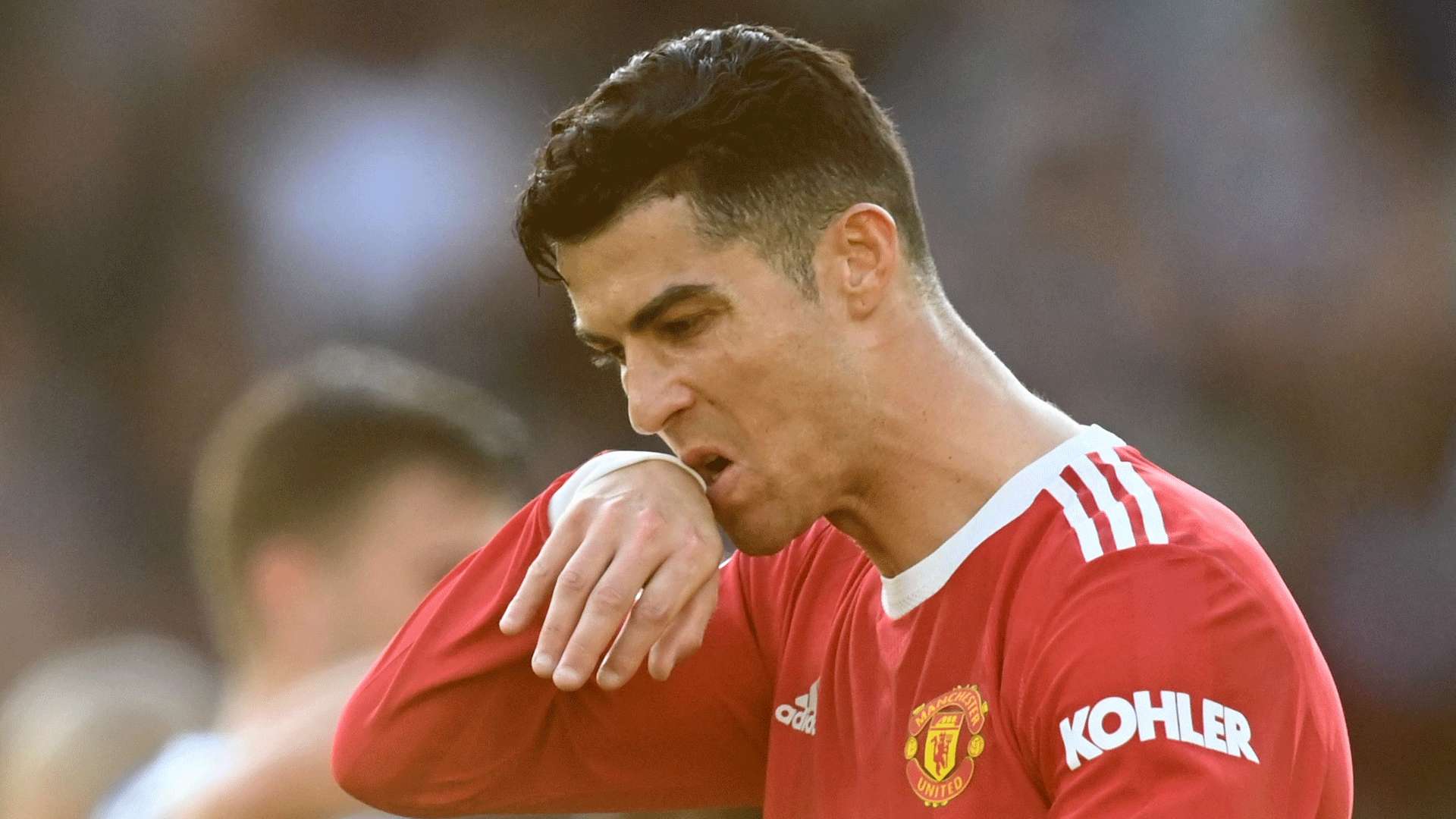 是他引入的 是他引入的